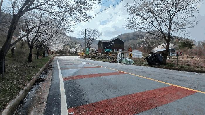 전북특별자치도 진안군 백운면 신암리 89 펜션(캠핑장) 경매 사진 5