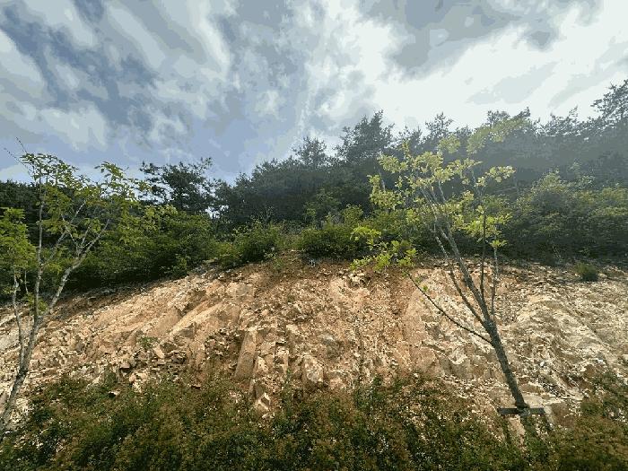 전북특별자치도 김제시 금구면 월전리 산44 임야 경매 사진 4