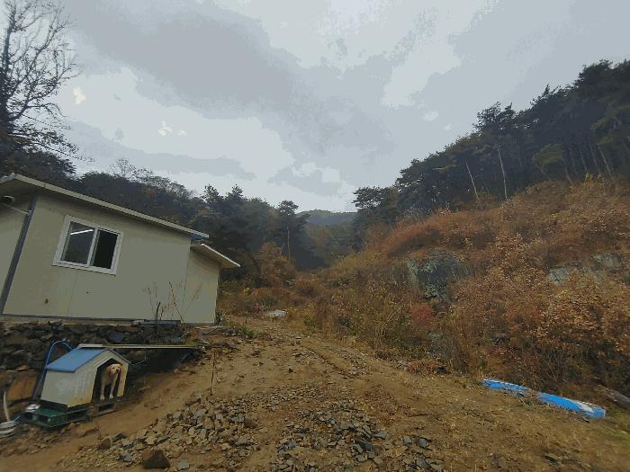 경상남도 밀양시 청도면 구기리 산47 임야 경매 사진 6