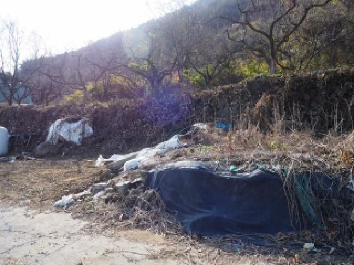 경상남도 밀양시 청도면 구기리 산47 임야 경매 사진 7