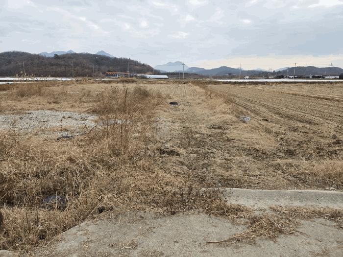 경상남도 창녕군 장마면 장가리 1382-1 답 경매 사진 1