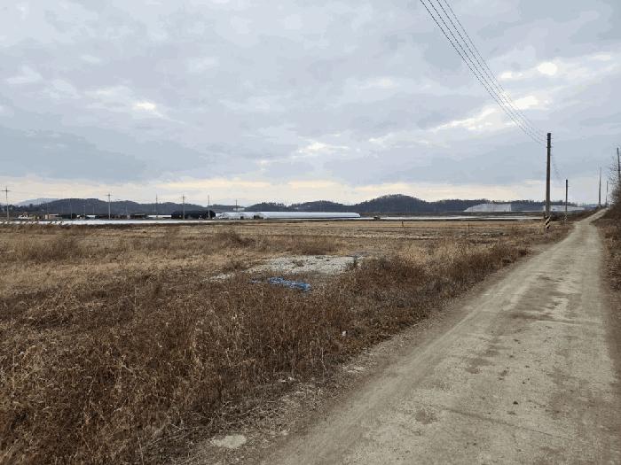 경상남도 창녕군 장마면 장가리 1382-1 답 경매 사진 2