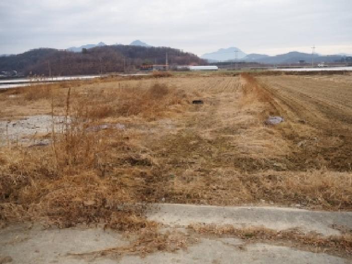 경상남도 창녕군 장마면 장가리 1382-1 답 경매 사진 3