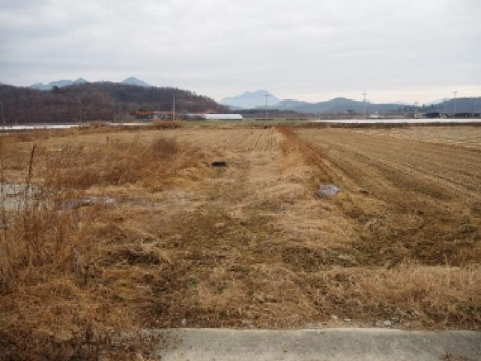 경상남도 창녕군 장마면 장가리 1382-1 답 경매 사진 4