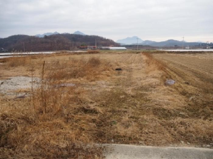 경상남도 창녕군 장마면 장가리 1382-1 답 경매 사진 5