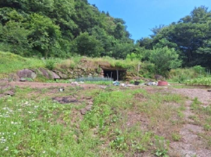 전라남도 광양시 옥룡면 동곡리 194-1 전 경매 사진 19