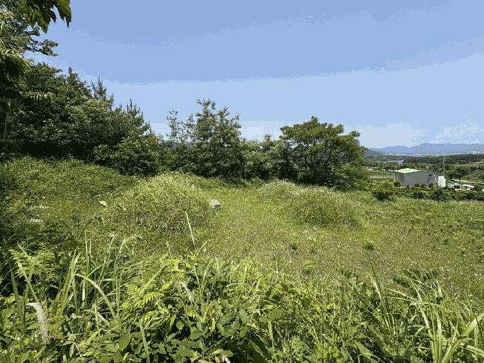 전라남도 강진군 강진읍 남포리 223 공장 경매 사진 4