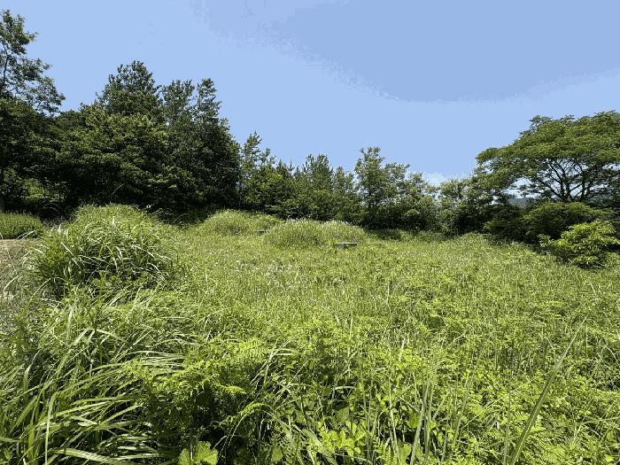 전라남도 강진군 강진읍 남포리 170 대지 경매 사진 1