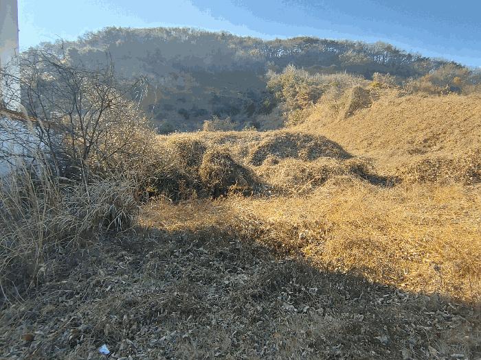 경상남도 밀양시 삼랑진읍 미전리 577-7 숙박시설 경매 사진 17