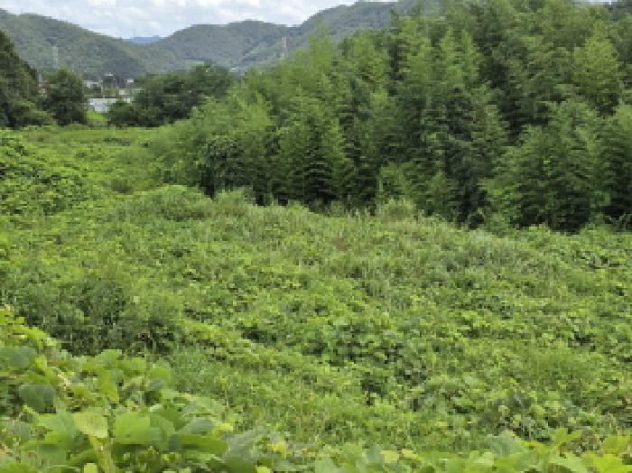 전라남도 강진군 성전면 월남리 747 답 경매 사진 12