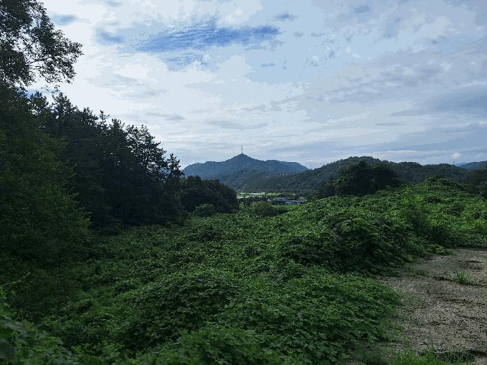 전라남도 강진군 성전면 월남리 747 답 경매 사진 3