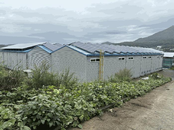 전라남도 장흥군 안양면 기산리 242-16 공장 경매 사진 16