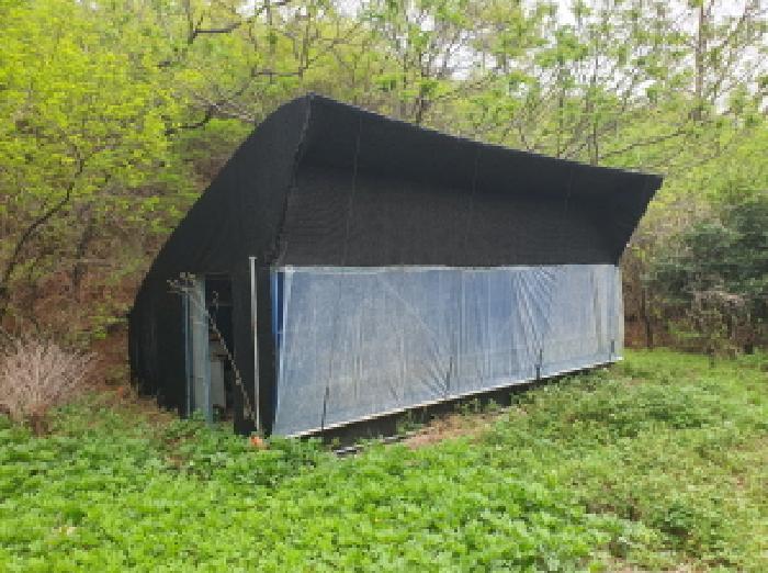 전라남도 장흥군 장평면 두봉리 747 답 경매 사진 30