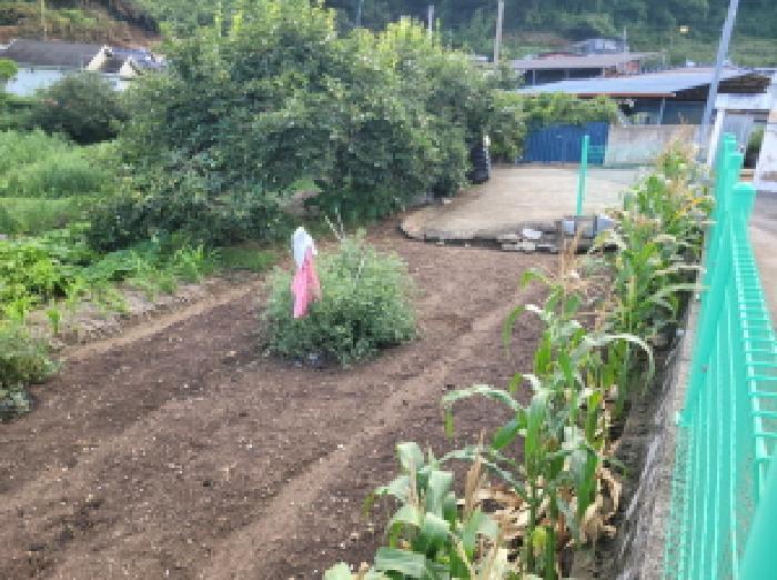 전라남도 보성군 벌교읍 칠동리 874-36 답 경매 사진 11