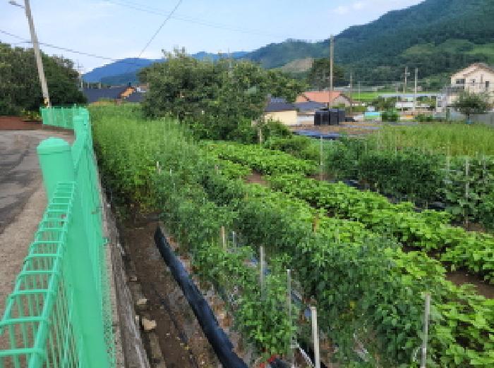 전라남도 보성군 벌교읍 칠동리 874-36 답 경매 사진 13