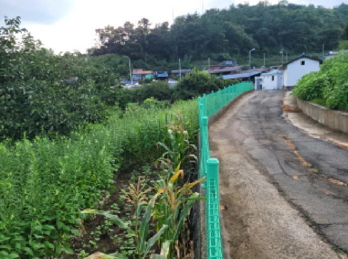 전라남도 보성군 벌교읍 칠동리 874-36 답 경매 사진 14