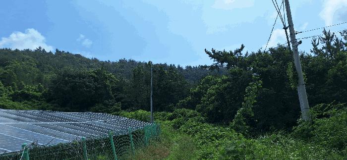 전라남도 강진군 임야