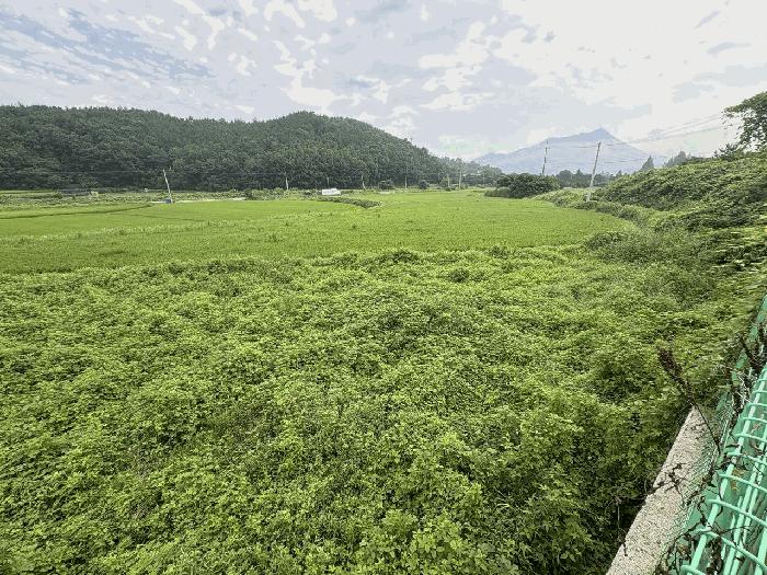 전라남도 강진군 성전면 월평리 400-1 답 경매 사진 2
