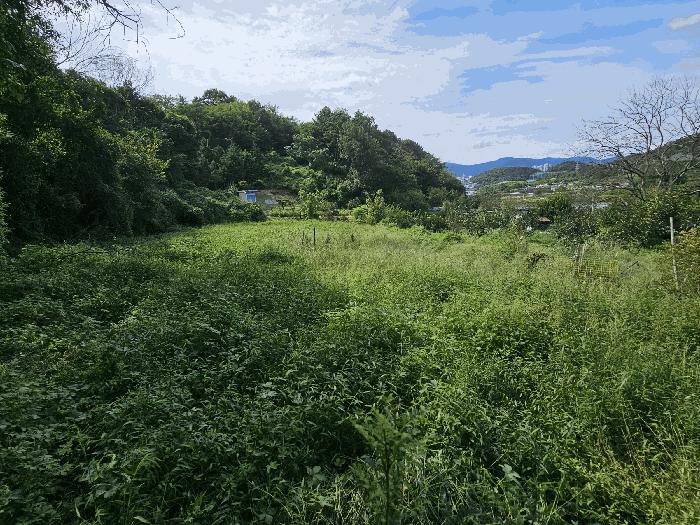 전라남도 순천시 해룡면 대안리 162 전 경매 사진 1