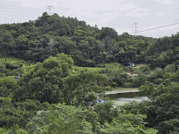 전라남도 순천시 해룡면 대안리 162 전 경매 사진 6