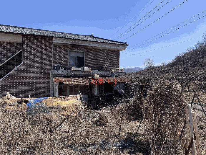 전라남도 영암군 금정면 아천리 336 대지 경매 사진 3