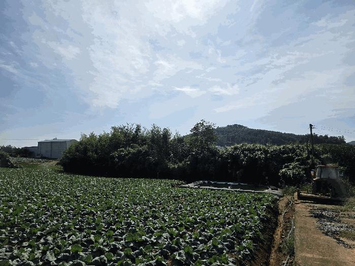 전라남도 무안군 현경면 용정리 616-30 전 경매 사진 22