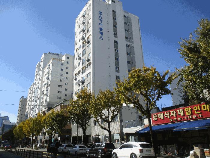 인천광역시 부평구 부평동 217-7 스카이블레스 13층1302호 오피스텔 경매 사진 2