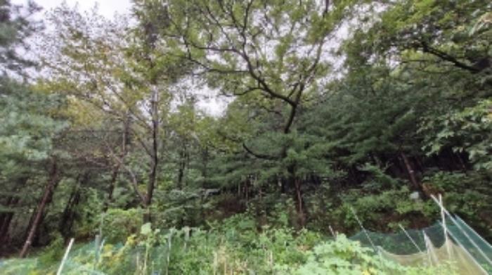 경기도 군포시 산본동 산105 임야 경매 사진 20