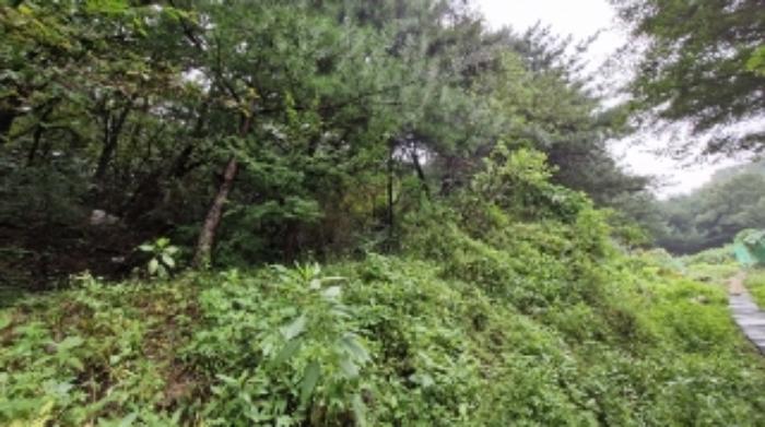 경기도 군포시 산본동 산105 임야 경매 사진 23