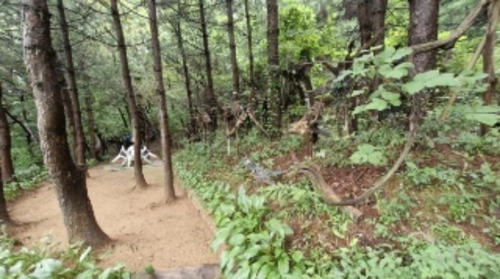 경기도 군포시 산본동 산105 임야 경매 사진 26