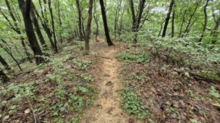 경기도 군포시 산본동 산105 임야 경매 사진 33