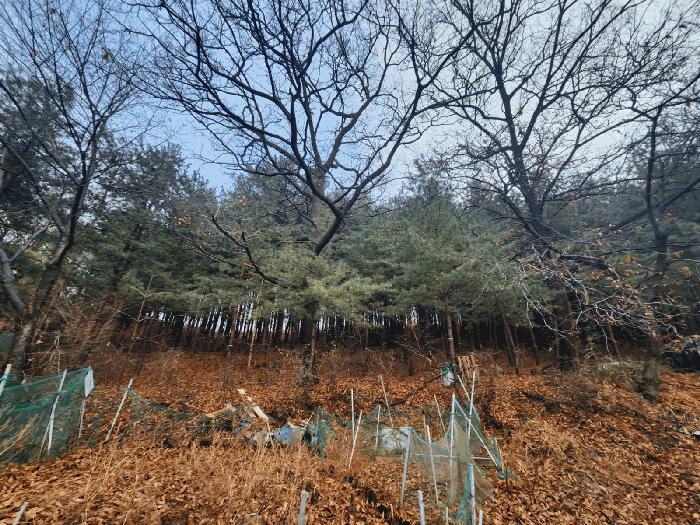 경기도 군포시 산본동 산105 임야 경매 사진 5