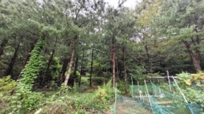 경기도 군포시 산본동 산104-1 임야 경매 사진 21