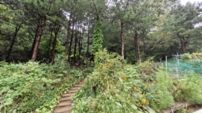 경기도 군포시 산본동 산104-1 임야 경매 사진 22