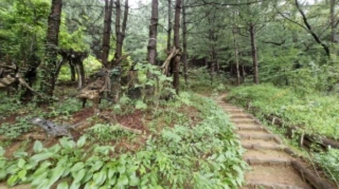 경기도 군포시 산본동 산104-1 임야 경매 사진 24