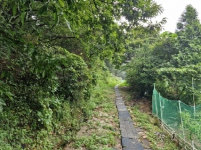 경기도 군포시 산본동 산104-1 임야 경매 사진 25