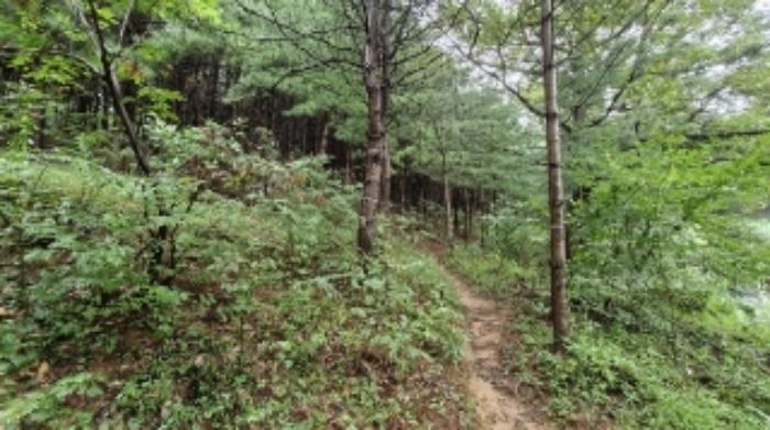 경기도 군포시 산본동 산104-1 임야 경매 사진 27