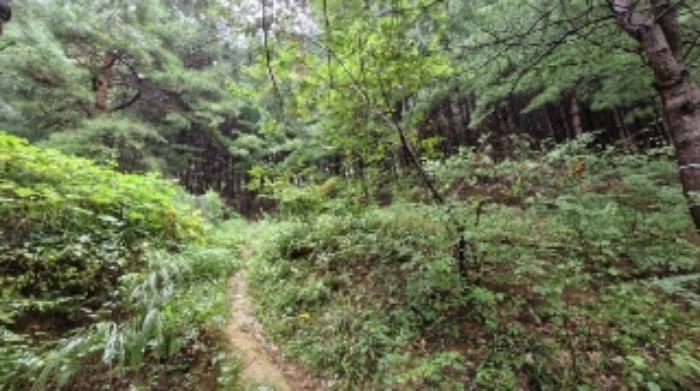 경기도 군포시 산본동 산104-1 임야 경매 사진 28