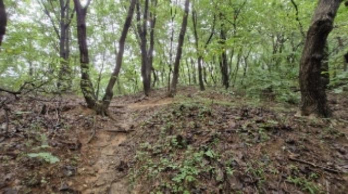 경기도 군포시 산본동 산104-1 임야 경매 사진 31