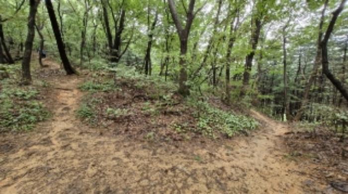 경기도 군포시 산본동 산104-1 임야 경매 사진 32