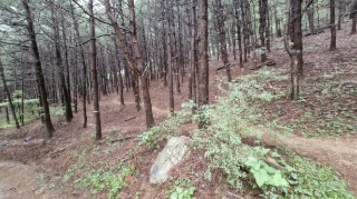 경기도 군포시 산본동 산104-1 임야 경매 사진 36