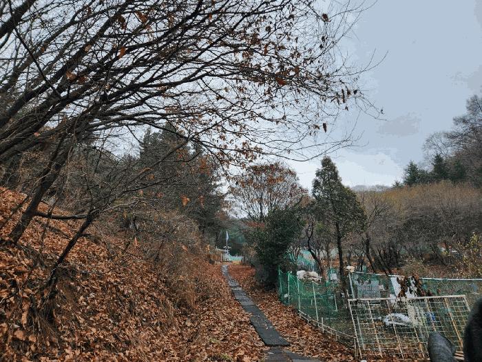경기도 군포시 산본동 산104-1 임야 경매 사진 4