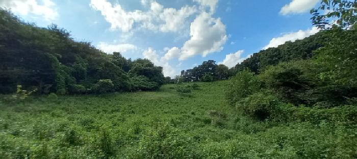 경기도 연천군 군남면 왕림리 산228 임야 경매 사진 3