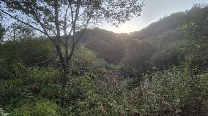 경기도 연천군 신서면 마전리 904 답 경매 사진 13