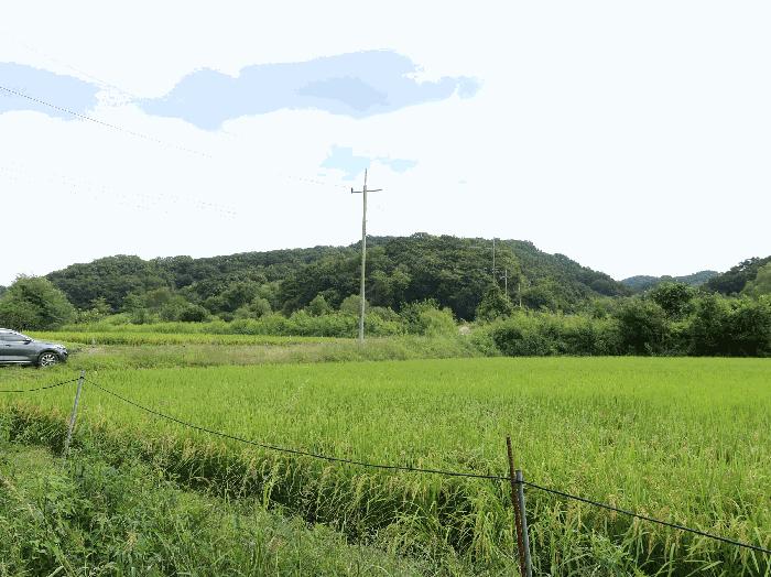 경기도 연천군 신서면 마전리 904 답 경매 사진 4