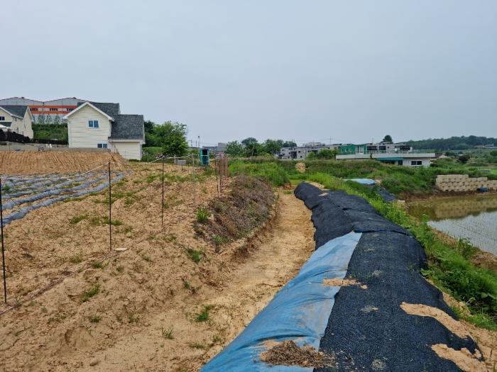 경기도 화성시 장안면 사곡리 849-4 답 경매 사진 11