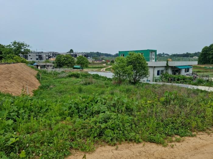경기도 화성시 장안면 사곡리 849-4 답 경매 사진 2