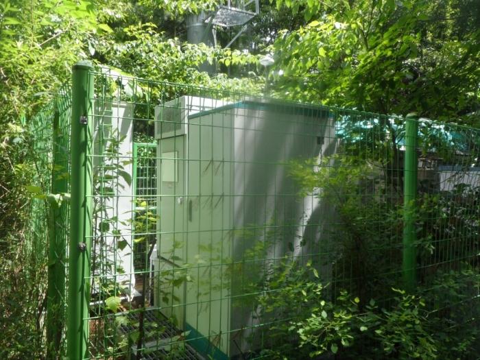 강원특별자치도 평창군 봉평면 원길리 산344 임야 경매 사진 7