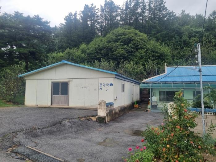 강원특별자치도 평창군 봉평면 덕거리 836 대지 경매 사진 3