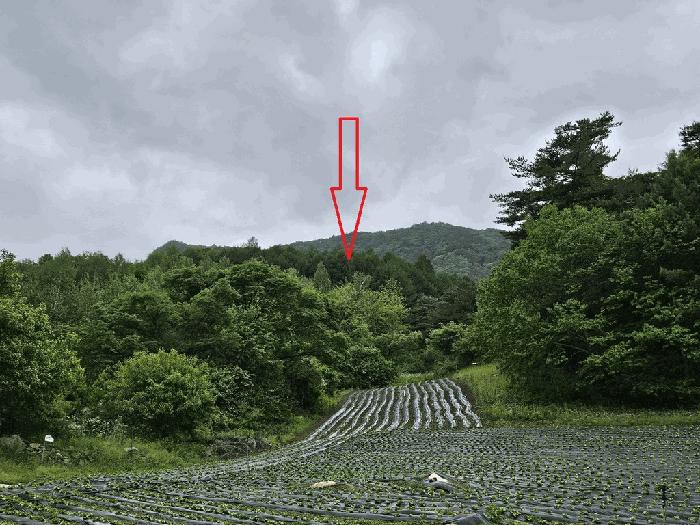 강원특별자치도 평창군 대화면 상안미리 산579 임야 경매 사진 3